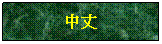 Text Box: 中丈
